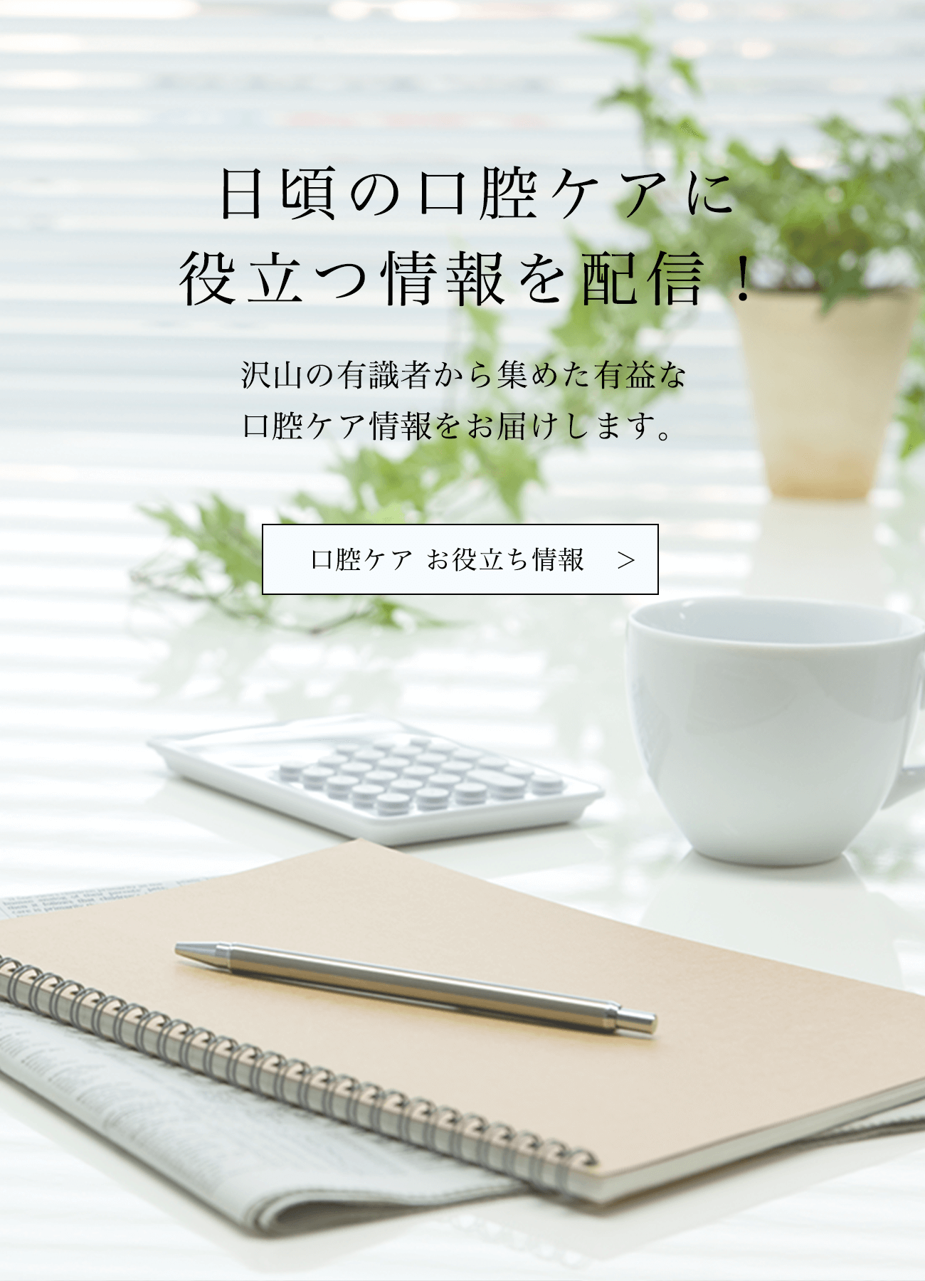 口腔ケア　お役立ち情報へ