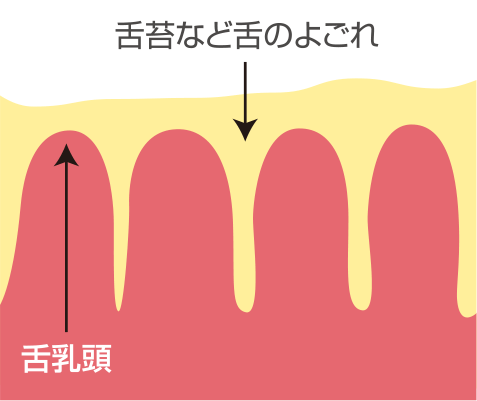 舌苔とは